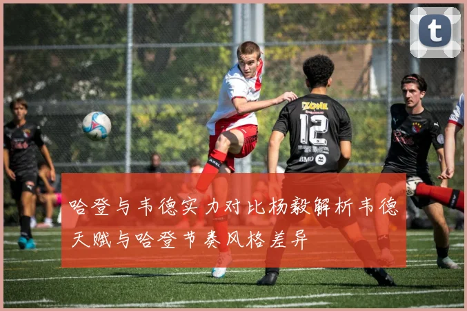 哈登与韦德实力对比杨毅解析韦德天赋与哈登节奏风格差异